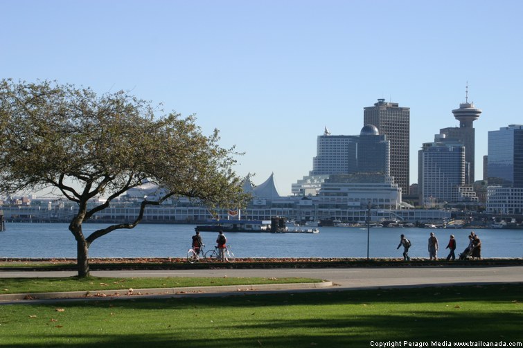 Stanley Park Vista