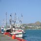 Fishing Boats