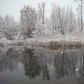 Winter pond