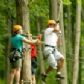 Tree Top Trekking